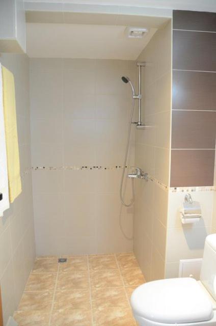 Hotel Alpin - 91 بانسكو المظهر الخارجي الصورة